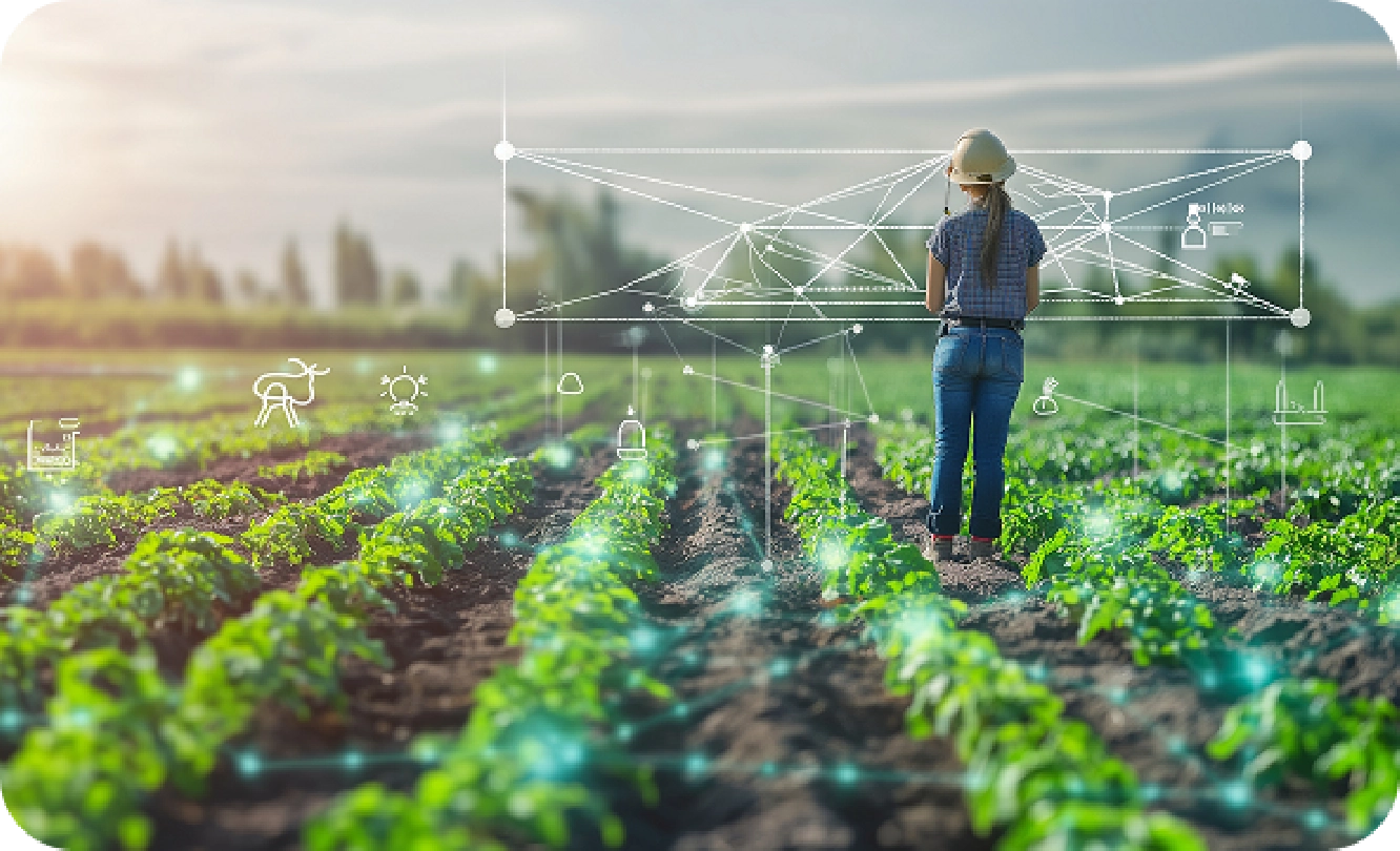 Revenue Forecasting Model for a US AgriTech Platform featured image